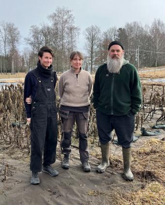 Ellis Kivi, Karin Saler och Patrik Englund driver ett småskaligt andelsjordbruk på &Ouml;råker i Kungsängen.
