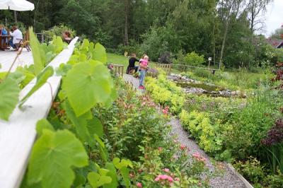 Det är inte svårt att imponeras och inspireras av fliten och all blomprakt hos paret Skånberg. 2009 byggde de huset och började planera trädgården. Sedan dess har mycket hänt!