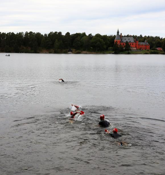 Att det var vackert längs banan tyckte de tävlande. Här simmar de mot Lejondals slott.