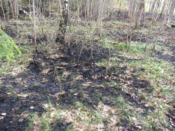 Brandkåren larmades ut på flera markbränder igår eftermiddag, bland annat till Gröna Dalen och till Gamla Bro. På båda platserna brann det i det vita fluffet.