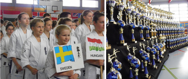 Drygt 200 deltagare från 15 länder tävlade i karatetävlingen i Stans, Schweiz.