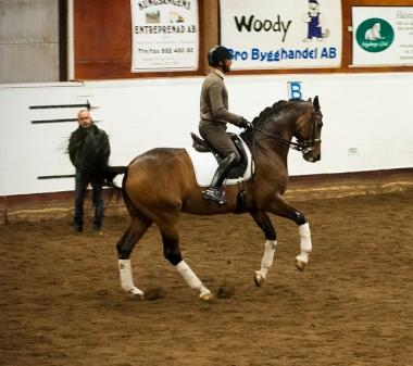 I bakgrunden syns Pether Markne. Hans make Per Sandgaard, landslagsryttare och tränare i dressyr, rider på hästen Charmeur.