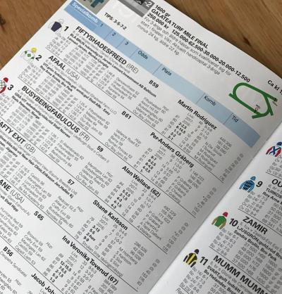 I tävlingsprogrammet finns hur mycket information som helst om hästen och jockeyn - bara man vet vad alla siffror och förkortningar betyder.