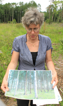 Maria Elfström är kommunbiolog. Här visar hon på hur monokrom granskogen som numera är avverkad var. I dess ställe har man nu planterat ek och lind så att Kvarnåbacken i framtiden ska täckas av en artrik ädellövskog.